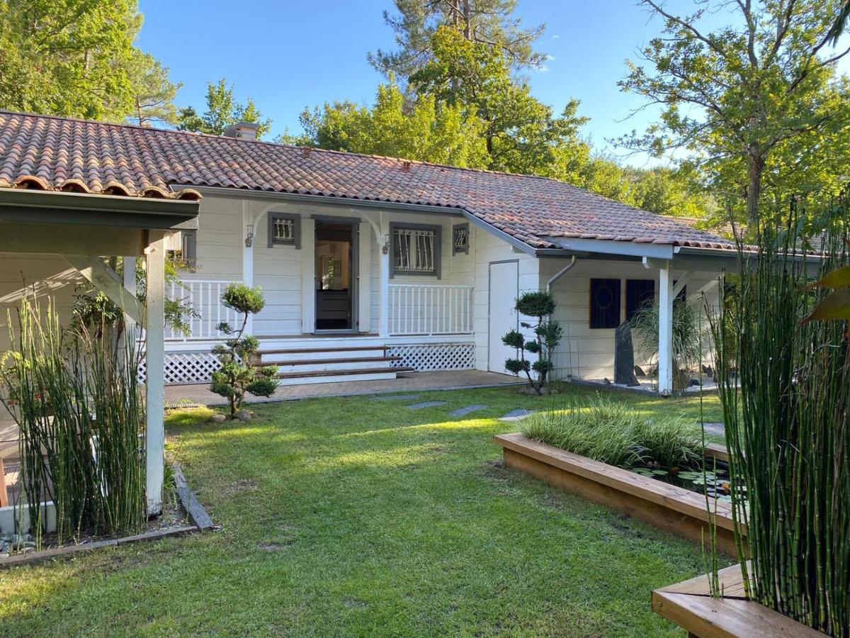 L'Esprit D'O Villa Lacanau Eksteriør billede